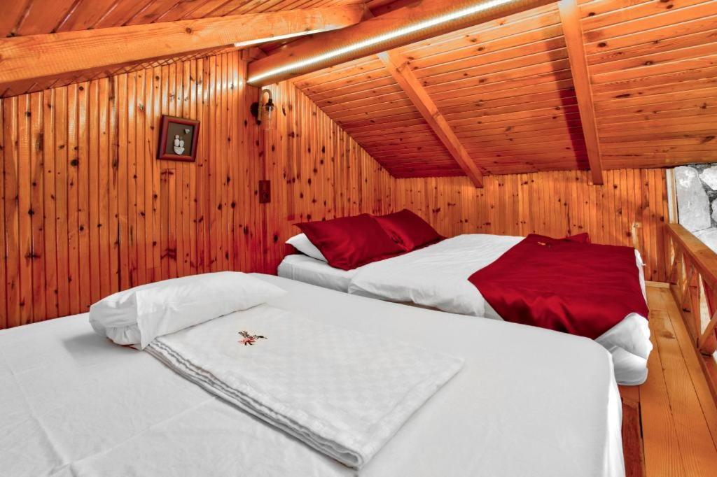 Paradise Plus Agva Zewnętrze zdjęcie